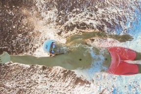 混合泳赛事南非男队展现全面能力，混合泳男女