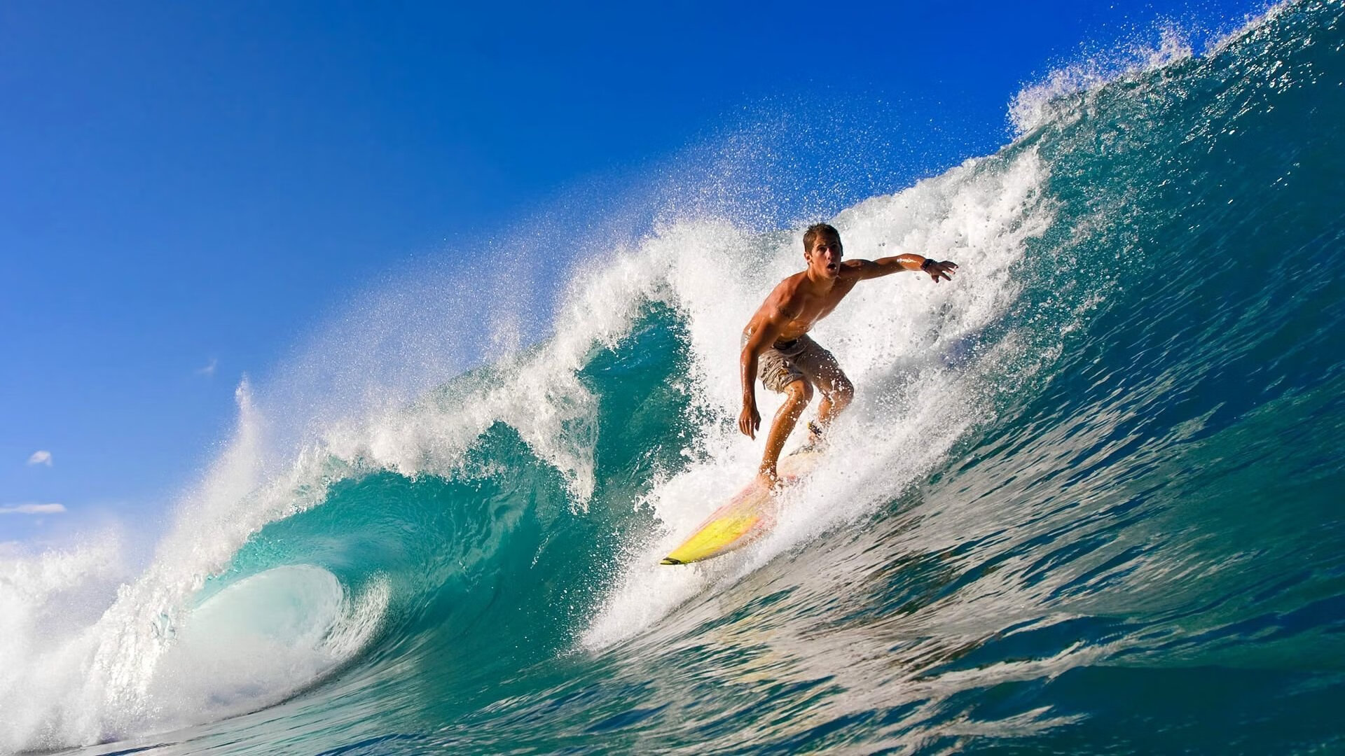 波尔曼全能表现助袋鼠队在橄榄球锦标赛中屡屡制胜