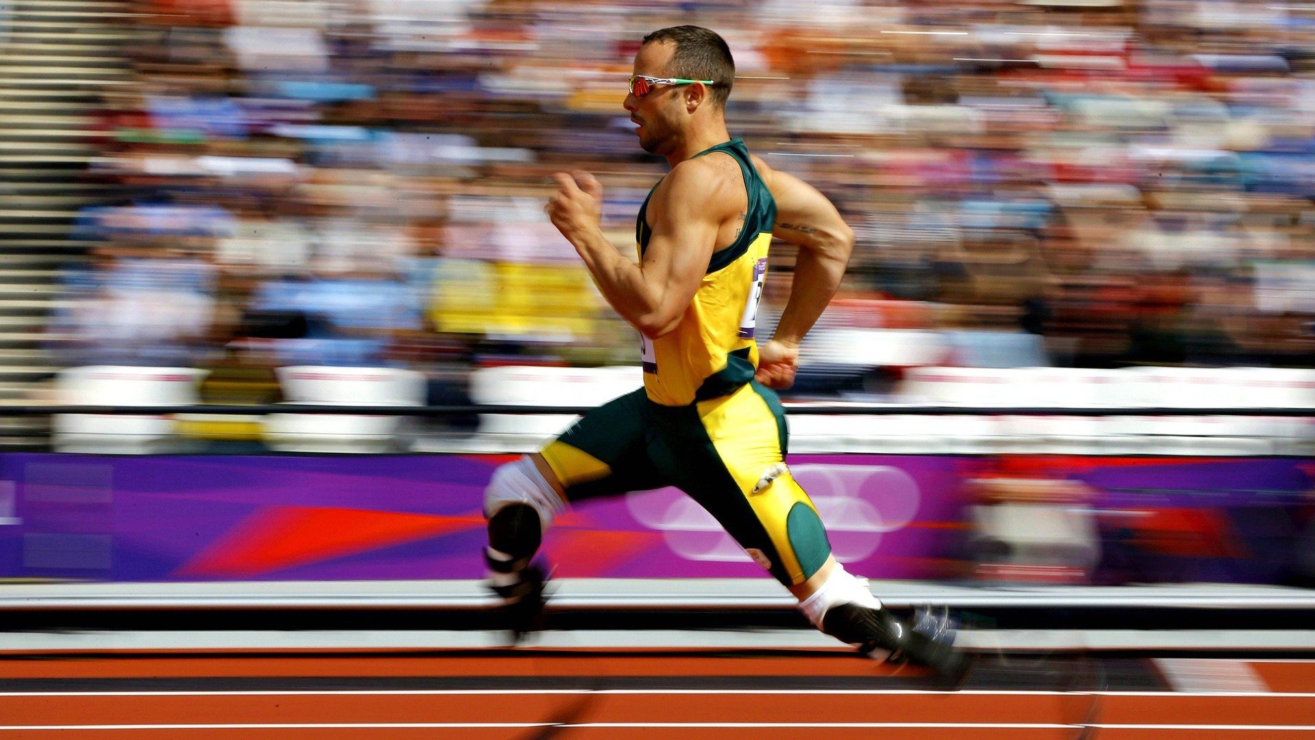 体育焦点新闻全网推送,体育焦点事