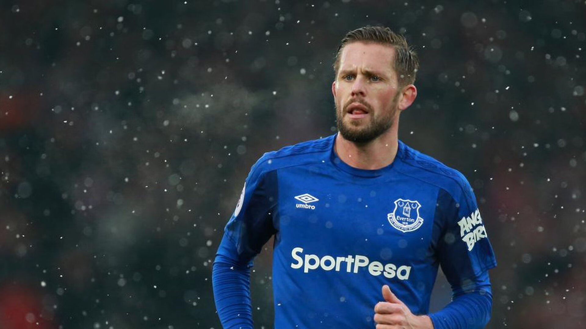 冠军球队球迷自发庆祝活动秩序良好获赞，球队获得冠军的祝贺词