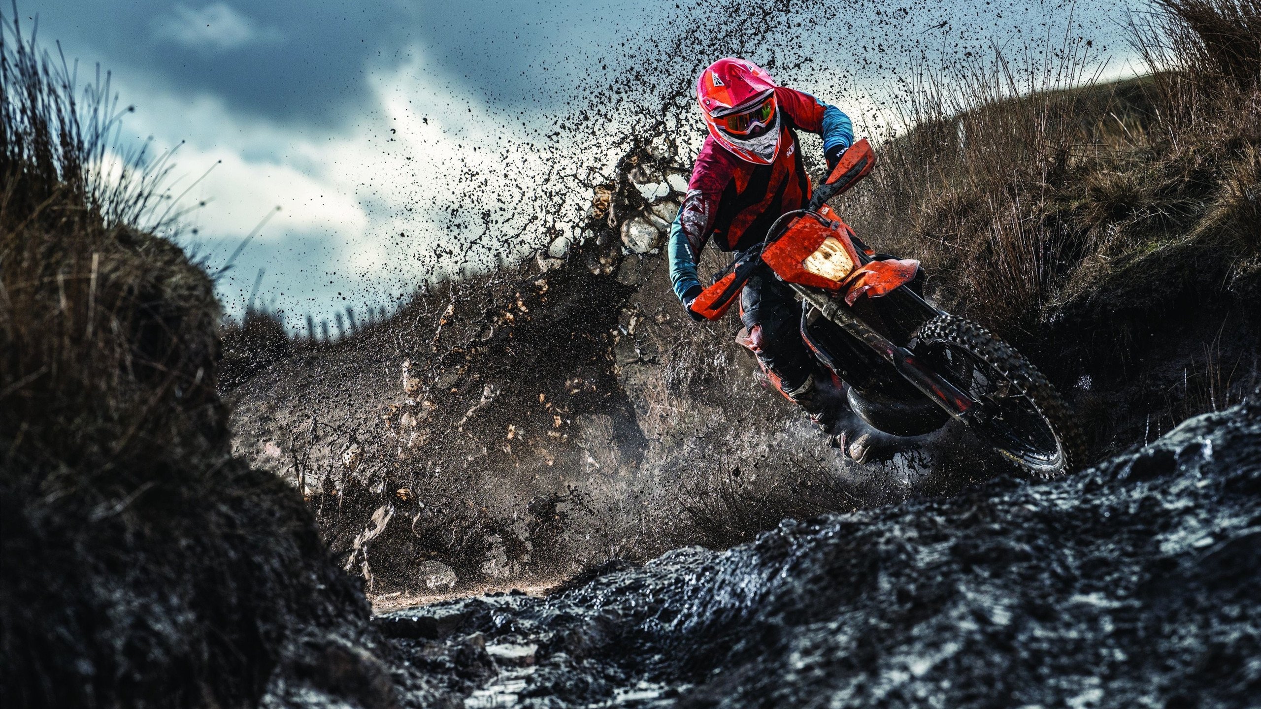 乒乓德甲俱乐部商业瓶颈,欧洲观察提供解决方案,德乒乓球男队队员